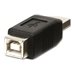 LINDY USB Adapter Type A-M/B-F