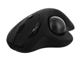 TNB ERGO DUAL CONNECT rechargeable ergonomic trackball mouse black