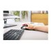 CHERRY DW 9500 Wrls Kbrd and Mouse (CS)