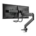 NEOMOUNTS NM-D775DXBLACK Desk Mount