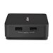 LINDY 2 Port Type C Dual HDMI 4K60 KVM