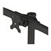 NEOMOUNTS FPMA-D700D6 Desk Mount 6x19-27