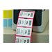 BROTHER 2p label printer USB