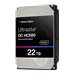 WESTERN DIGITAL ULTRASTAR HC580 22To TCG