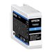 EPSON RUBAN DFX-5000/5000 /8000