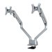 NEOMOUNTS FPMA-D750DSILVER Desk Mount