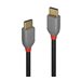 LINDY Câble USB 2.0 Type C Anthra Line