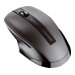 CHERRY MW 2100 cordless Mouse black USB