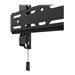 NEOMOUNTS WL30S-850BL12 Wall Mount
