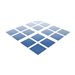 ACRONIS Snap Server upgr incl. supp ESD