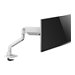 NEOMOUNTS Next One Desk Mount single