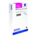 EPSON 5LB T6066 ink cartridge light mag