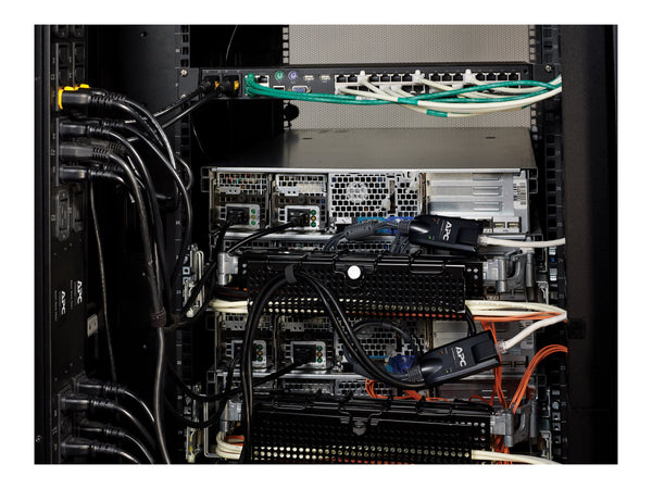 APC KVM 2G - Server Module - PS/2