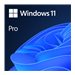 MS ESD Win Pro 11 64-bit