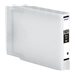 EPSON 5LB T6066 ink cartridge light mag