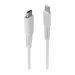 LINDY 0.5m USB Type C to Lightning Cable