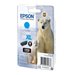 EPSON RUBAN DFX-5000/5000 /8000