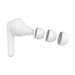 BELKIN SOUNDFORM RHYTHM Wireless Earbuds