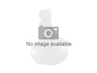 LOGI G29 Driving Force Racing Wheel WT