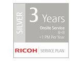 FUJITSU 3Y Silver Service LV (P)
