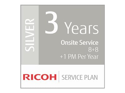 FUJITSU 3Y Silver Service LV (P)