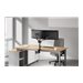 NEOMOUNTS Next Lite Screen Desk Mount