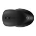 HP 255 Dual Wireless Mouse