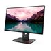 LENOVO ThinkVision T24-40 23.8p TS