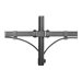 NEOMOUNTS FPMA-D550DDBLACK Desk mount