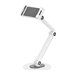 NEOMOUNTS Universal tablet stand