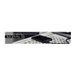 SILICON POWER Ext SSD Bolt B75 Pro 1To
