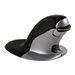 FELLOWES SOURIS VERTICALE AMBIDEXTRE MOY
