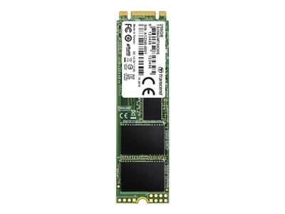 TRANSCEND 256Go SSD Interne M.2 2280
