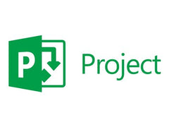 MS OVL-GOV ProjOnlnProfOpen 1M AP