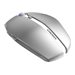 CHERRY GENTIX BT Frosted Silver Mouse