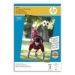 EPSON PAPIER PHOTO PREMIUM SEMI