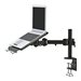 NEOMOUNTS Notebook Desk/Wall Mount Clamp