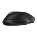 HP 255 Dual Wireless Mouse