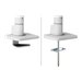 NEOMOUNTS Next One Desk Mount single