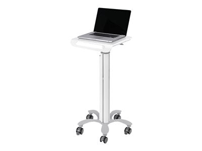 NEOMOUNTS Mobile Laptop Cart 10-22p
