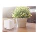 ASUS ZenWiFi XD5 White 2PK AX3000 Router