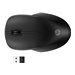 HP 255 Dual Wireless Mouse