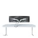 NEOMOUNTS FPMA-D750DSILVER Desk Mount