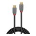 LINDY 1.5m USB 3.2 Type C Cable 5A PD