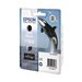 EPSON RUBAN DFX-5000/5000 /8000