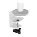 NEOMOUNTS Next Lite Screen Desk Mount