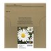 EPSON 1LB Multipack 4-colours 29XL