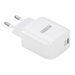URBAN FACTORY 20W USB-C wall charger 1X