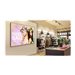 SAMSUNG QM43B-T 43p Wide 16:9 AIO