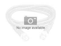 LENOVO 10m 100G QSFP28 Active Optical
